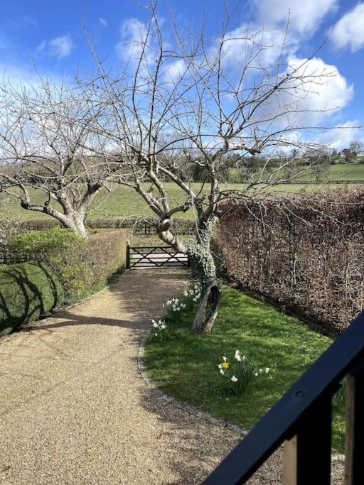 Little Studio Annexe Marlow  Luaran gambar